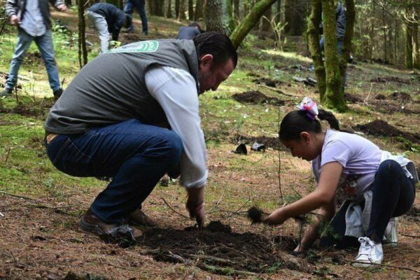 001Reforestación_Agosto_ALMC_12-08-2024_jpeg