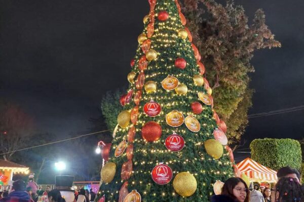 WhatsApp Image 2025-12-17 at 3.37.26 PM