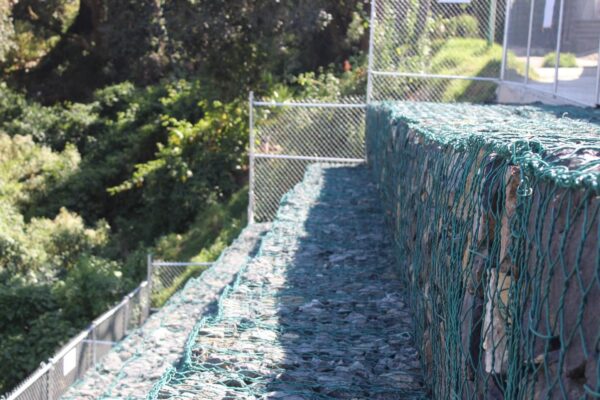 WhatsApp Image 2026-04-26 at 2.15.59 PM (2)