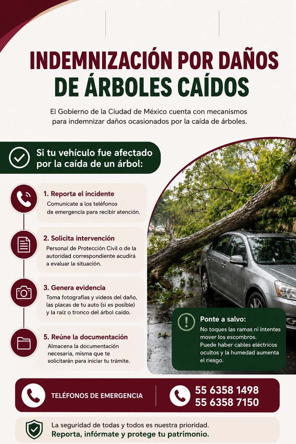 INDEMNIZACIÓN POR DAÑOS DE ÁRBOLES CAÍDOS